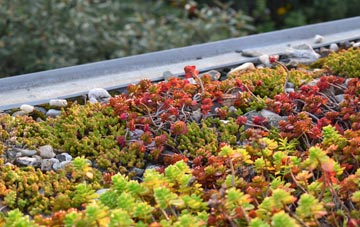 the cost of Park Bernisdale green roof installation